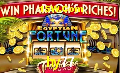 A Experiência Imersiva dos Cassinos Ao Vivo no hy77